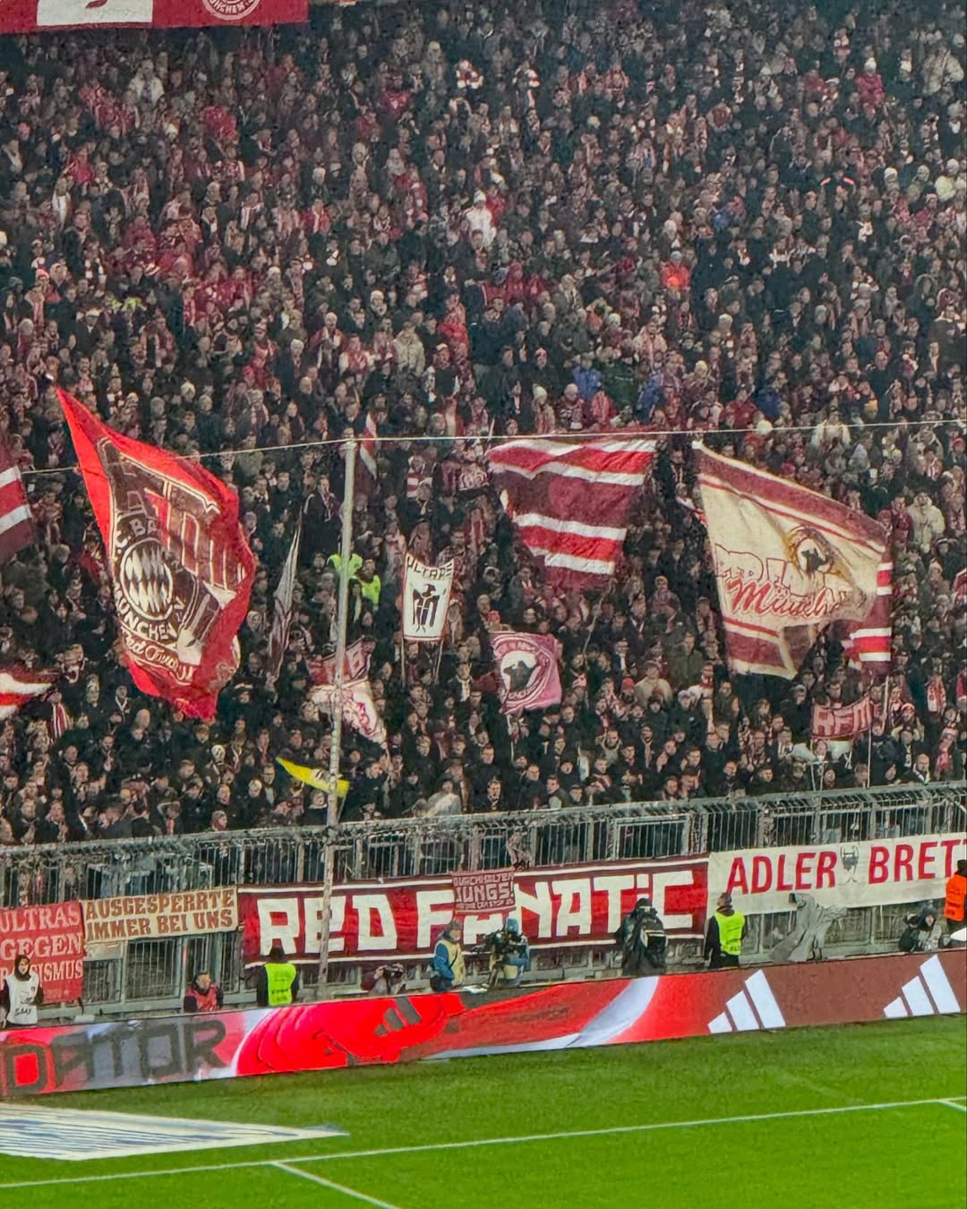 FC Bayern München – Werder Bremen 3-0 (3)