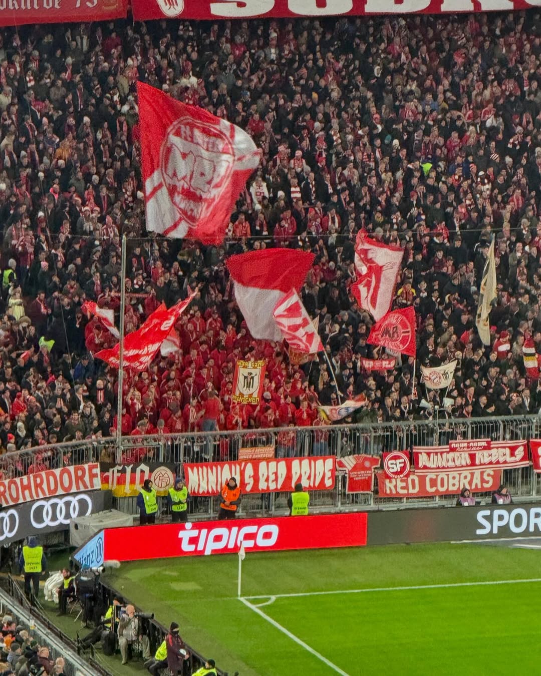 FC Bayern München – Werder Bremen 3-0 (9)
