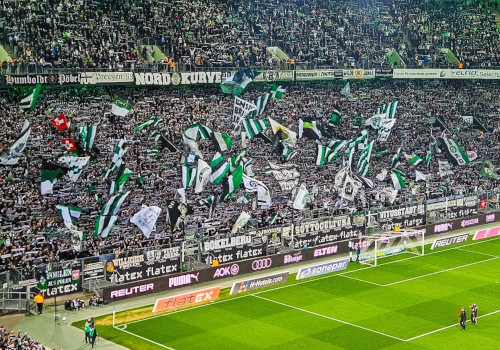 Borussia Mönchengladbach – 1. FSV Mainz 05 1-3