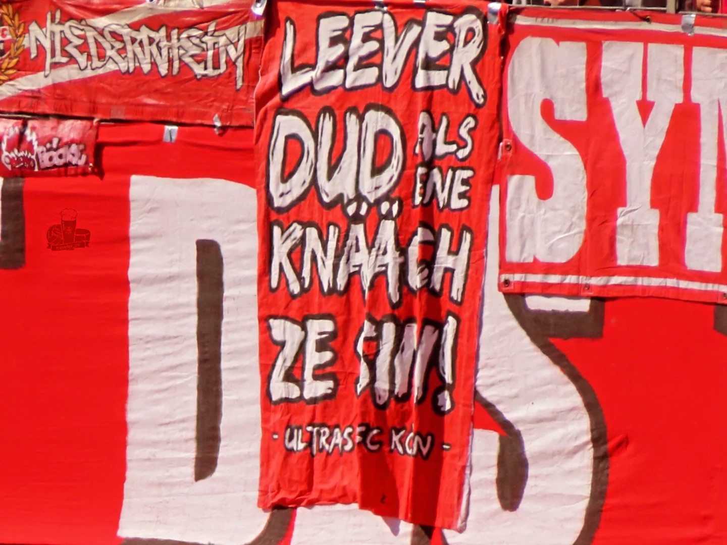 SSV Ulm 1846 – 1. FC Köln 0-1