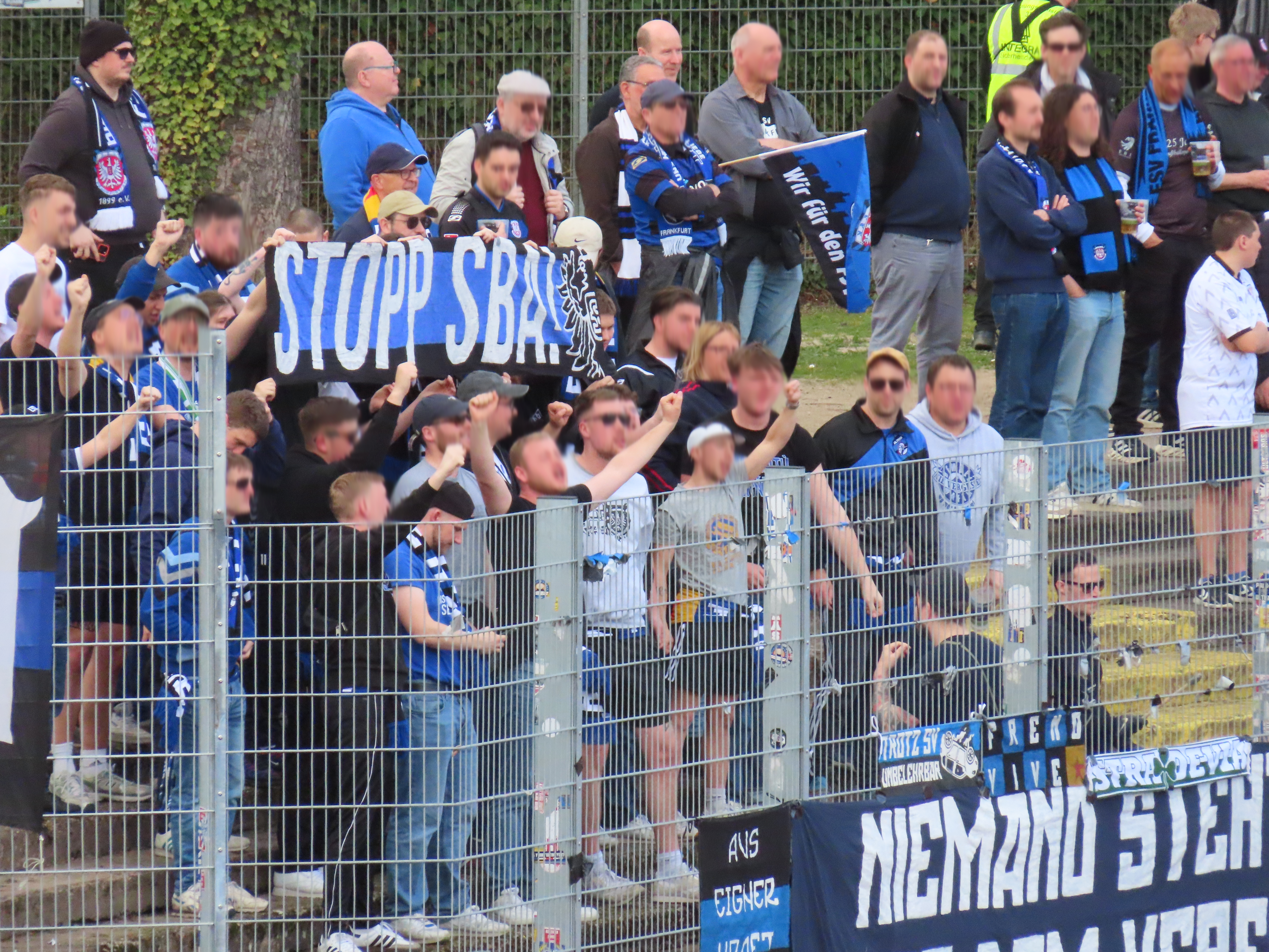 Gästefans | SV Eintracht Trier 05 – FSV Frankfurt (22.03.2025) 3-3