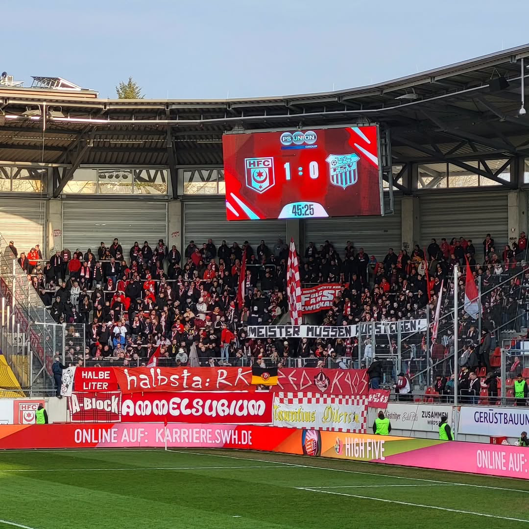 Hallescher FC – FSV Zwickau 2-0