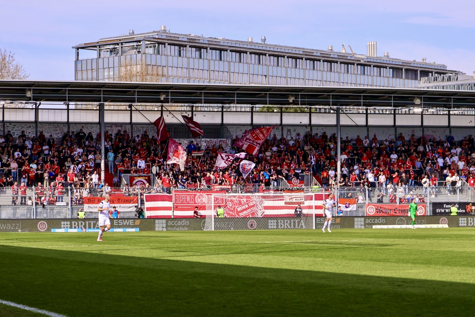 SV Wehen – SV Waldhof Mannheim 2-2