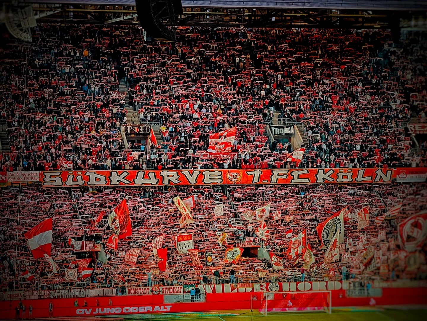 1. FC Köln – Hertha BSC 0-1