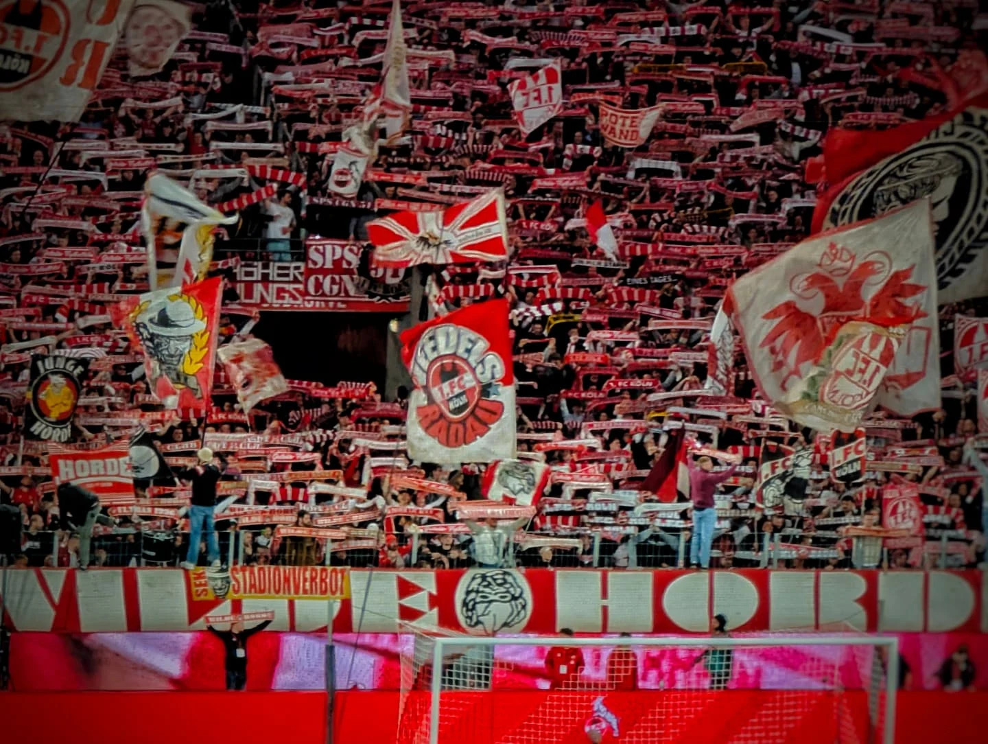 1. FC Köln – Hertha BSC 0-1 (5)