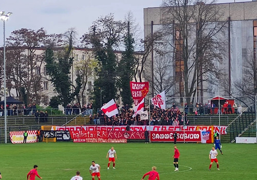 VSG Altglienicke – FSV Zwickau 3-1