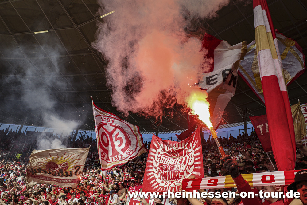 TSG Hoffenheim – 1. FSV Mainz 05 2-0 (3)