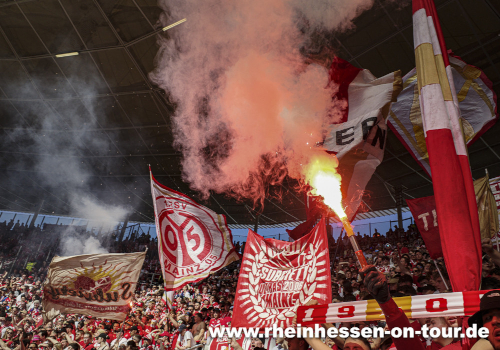 TSG Hoffenheim – 1. FSV Mainz 05 2-0 (4)