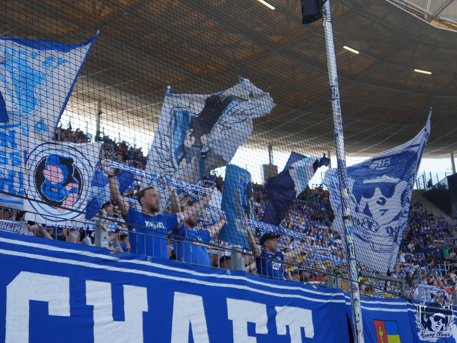 TSG Hoffenheim – 1. FSV Mainz 05 2-0