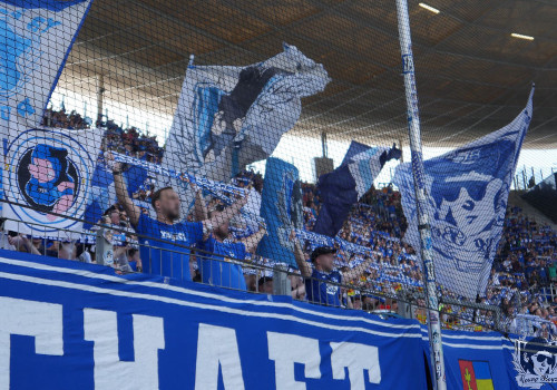 TSG Hoffenheim – 1. FSV Mainz 05 2-0 (1)