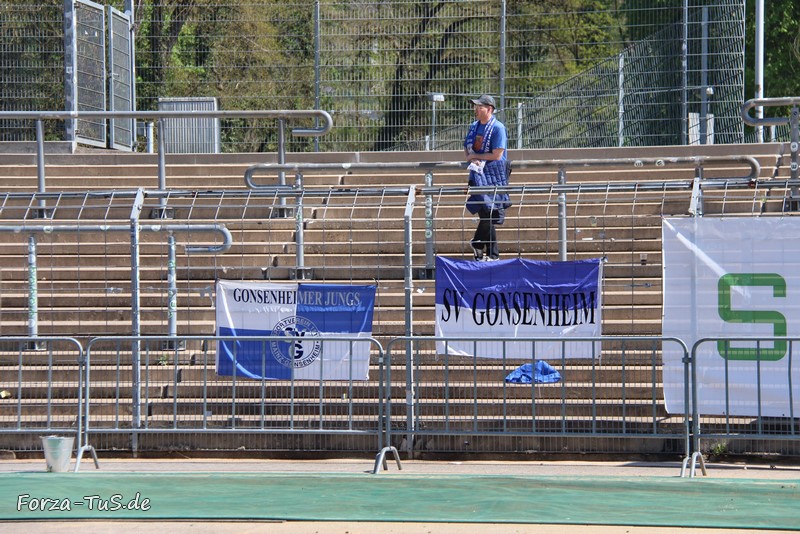 Gästefans | TuS Koblenz – SV Gonsenheim (19.04.2025) 2-1