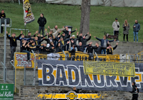 VFC Plauen – FSV Luckenwalde 0-2
