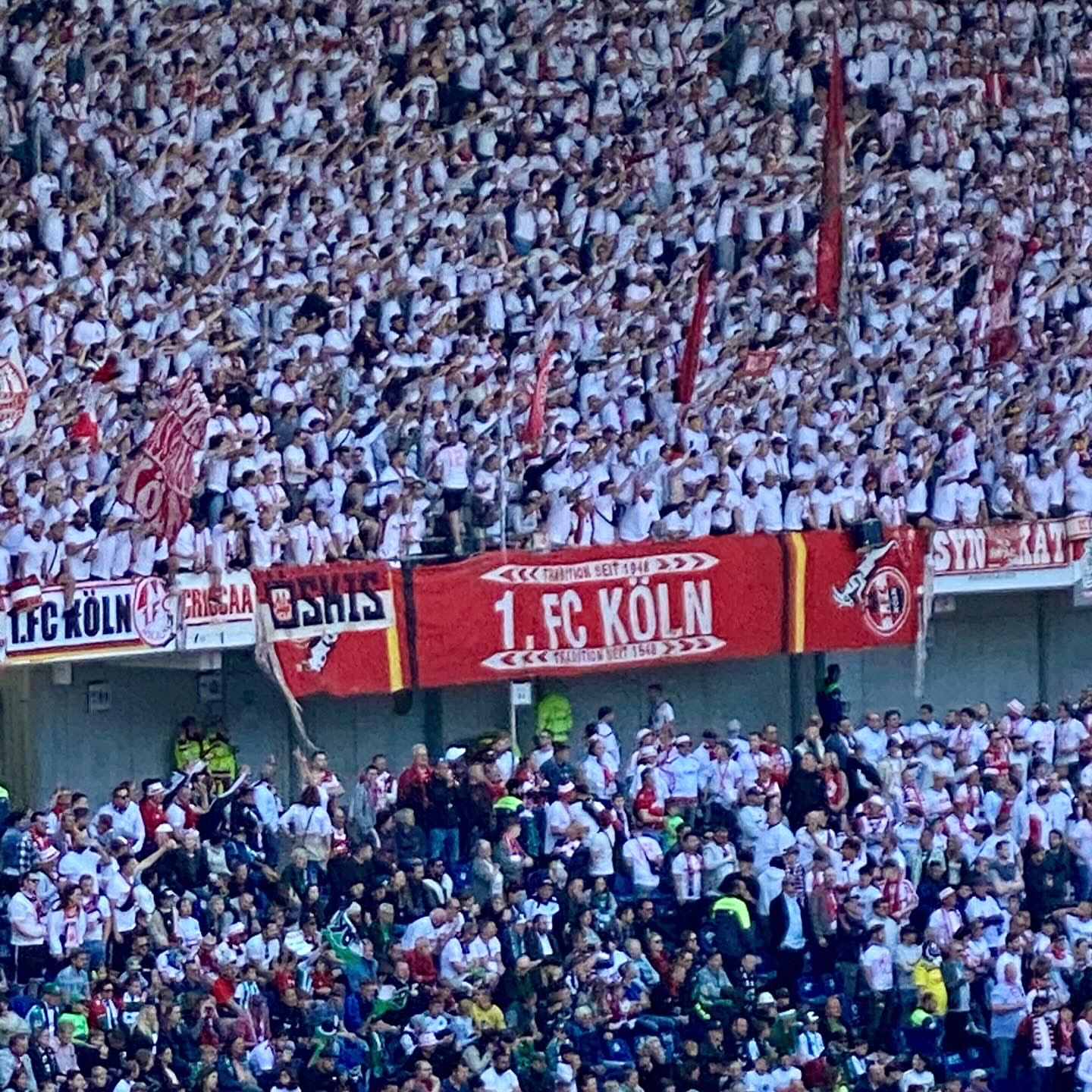 Hannover 96 – 1. FC Köln 1-0