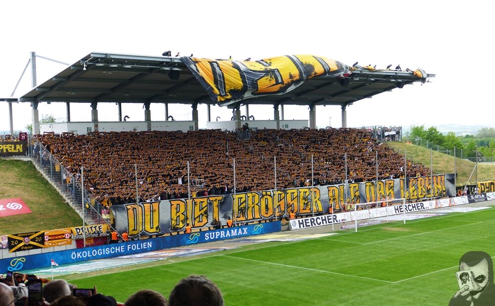 FSV Zwickau – Dynamo Dresden 0-1 (15)