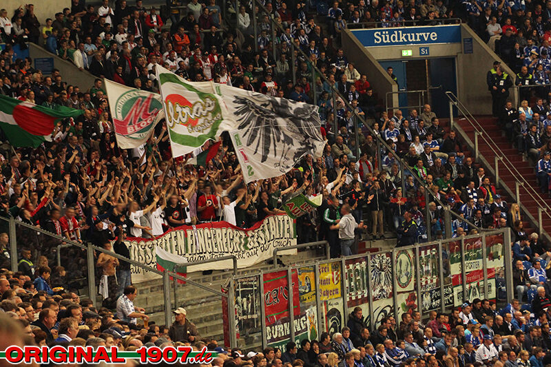 FC Schalke 04 vs FC Augsburg (1-0) (5)