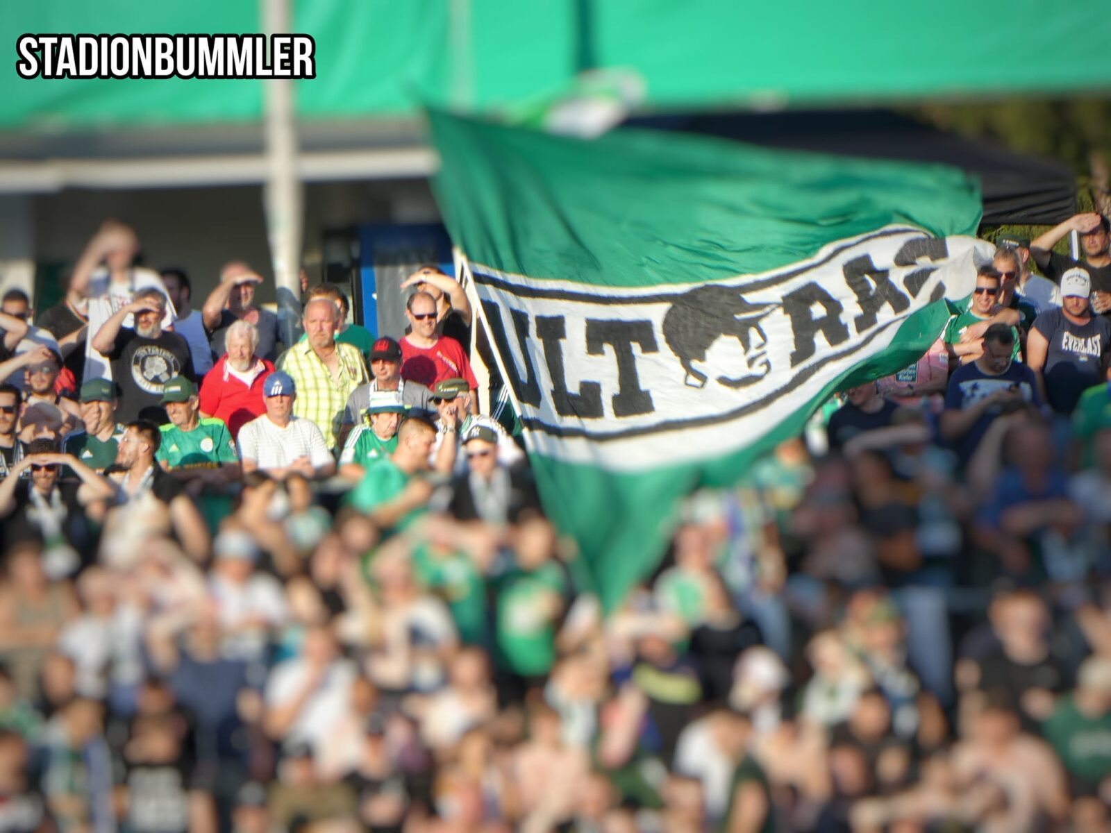 FC Homburg – SV Darmstadt 98 3-0 (5)