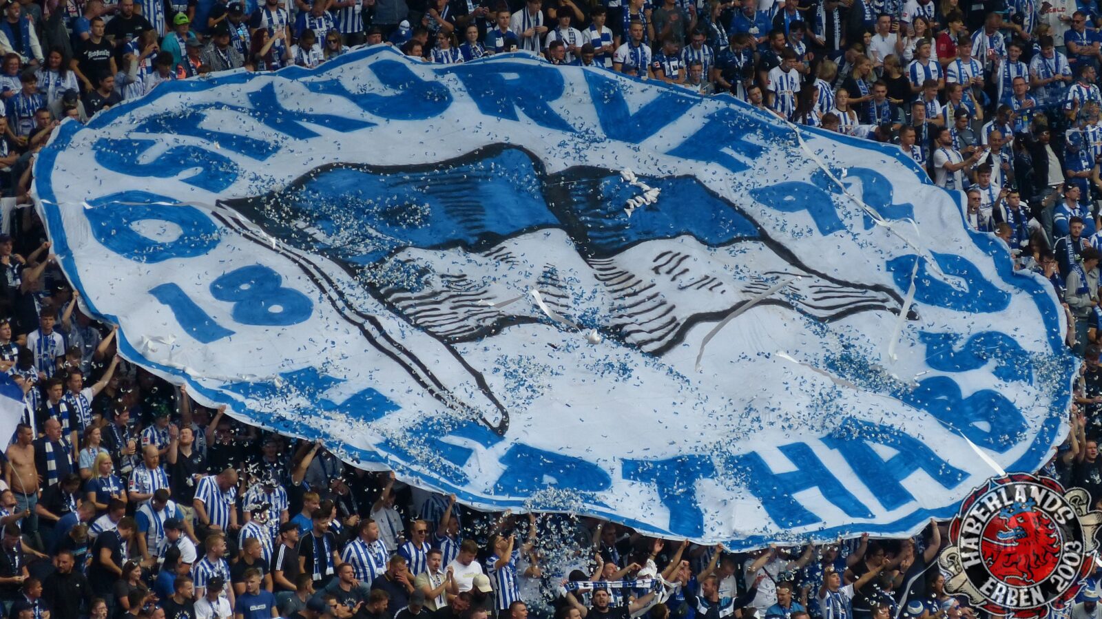 Hertha BSC – Bayer 04 Leverkusen 2-2 (17)