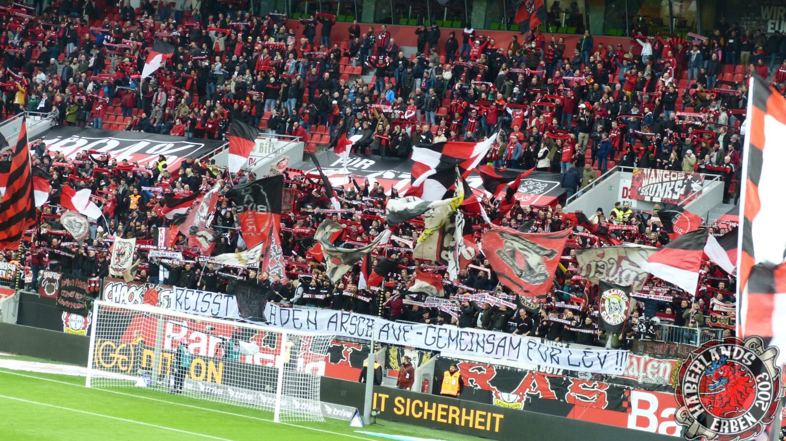 Bayer 04 Leverkusen – 1. FC Union Berlin 5-0 (1)