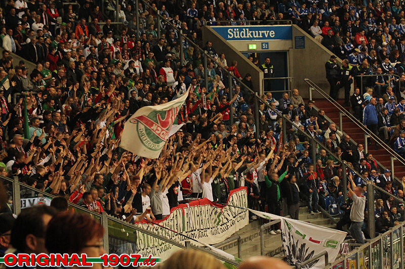 FC Schalke 04 vs FC Augsburg (1-0) (8)