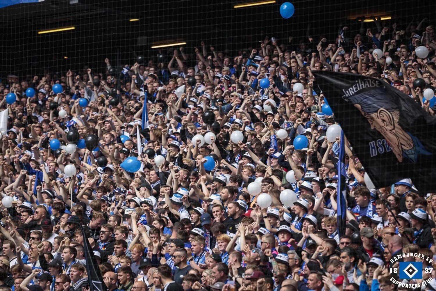 Hamburger SV – Hannover 96 2-1 (20)