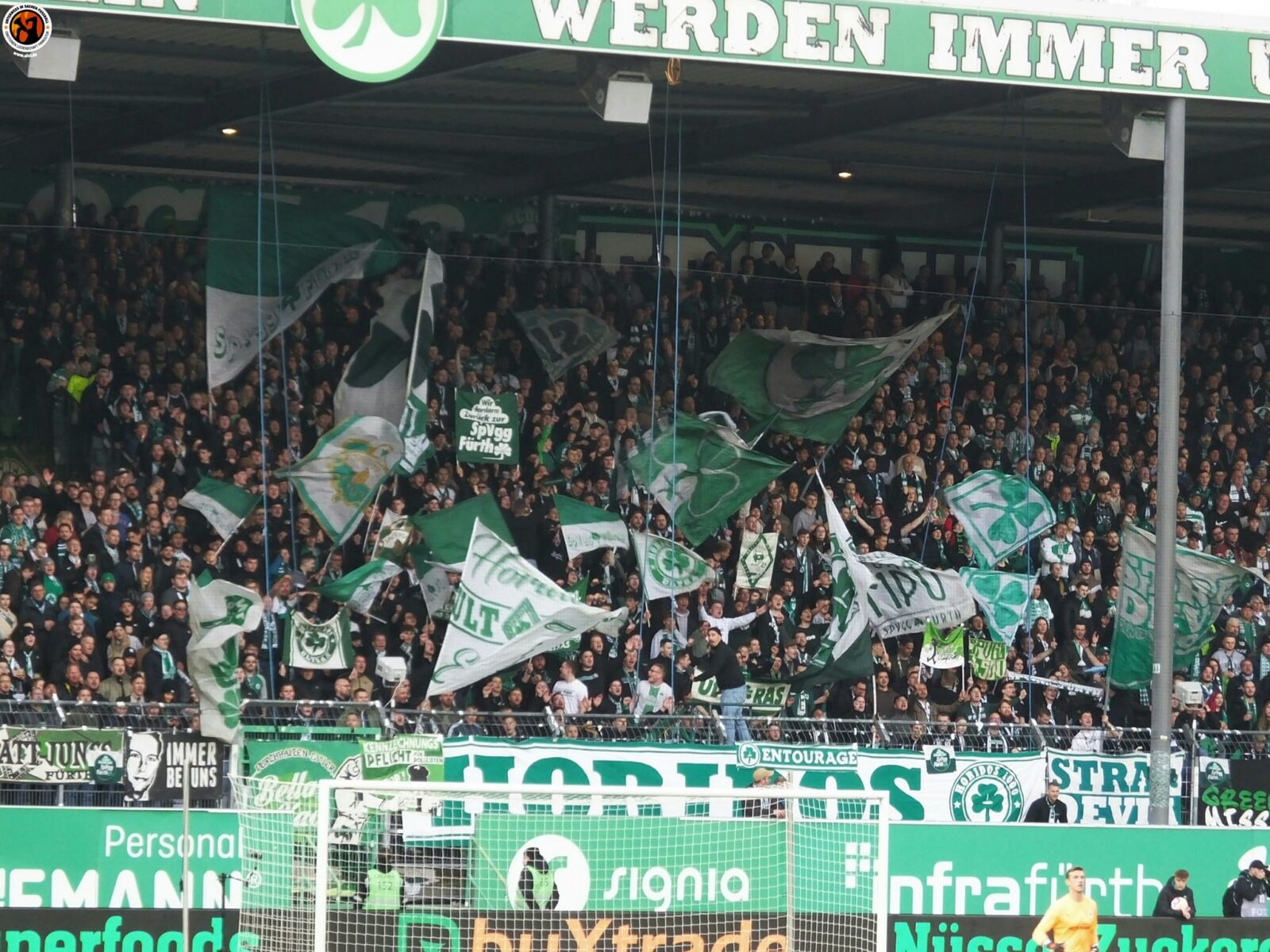 SpVgg Fürth – SSV Jahn Regensburg 2-1 (11)