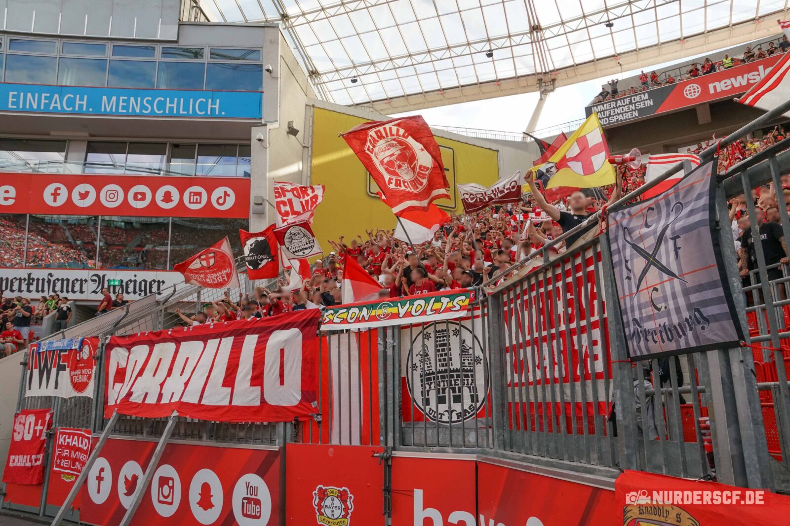 Bayer 04 Leverkusen – SC Freiburg 2-3 (15)