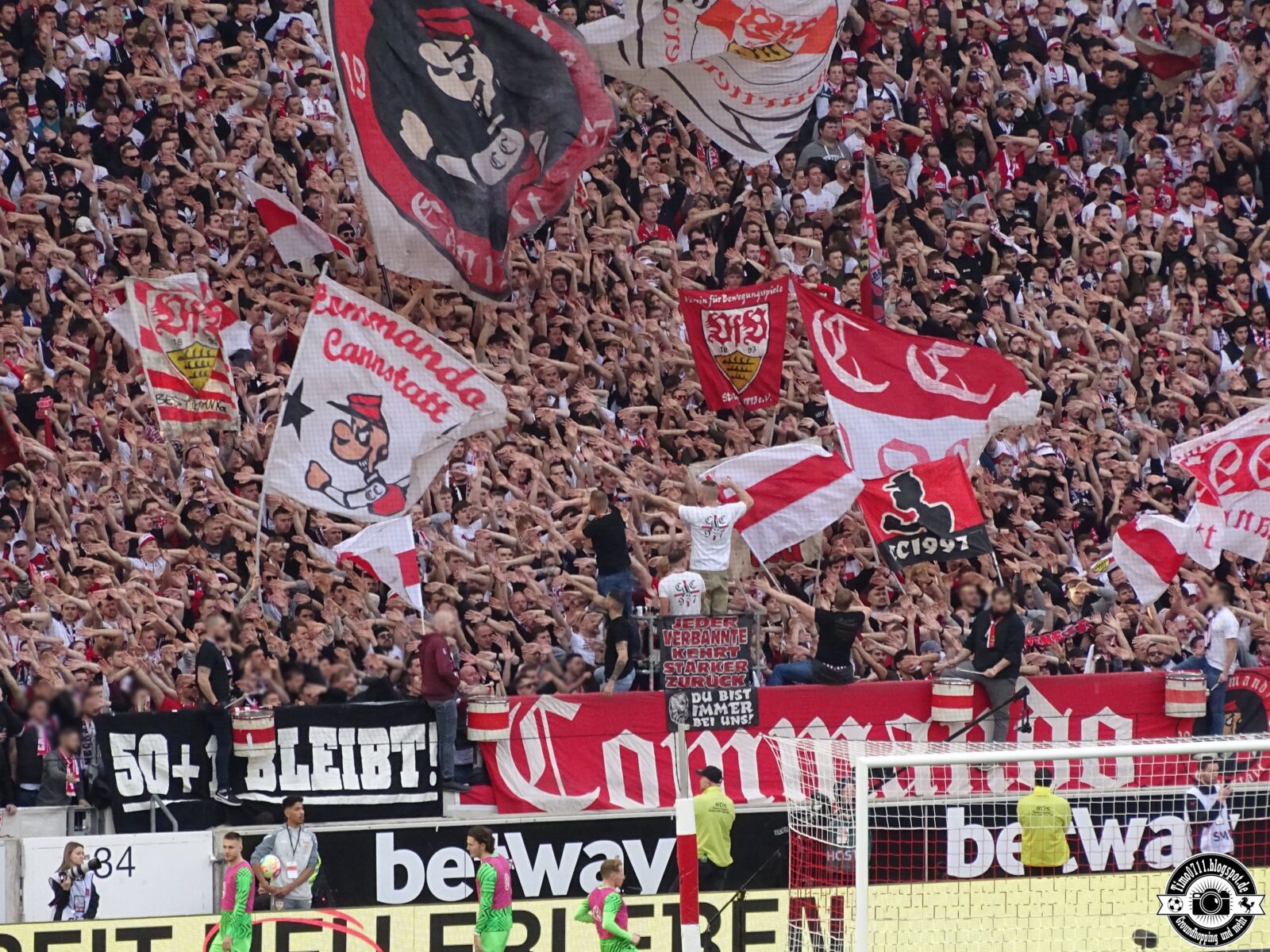VfB Stuttgart – VfL Wolfsburg 0-1 (19)