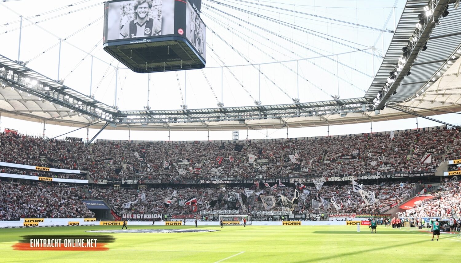 Eintracht Frankfurt – TSG Hoffenheim 3-1 (41)