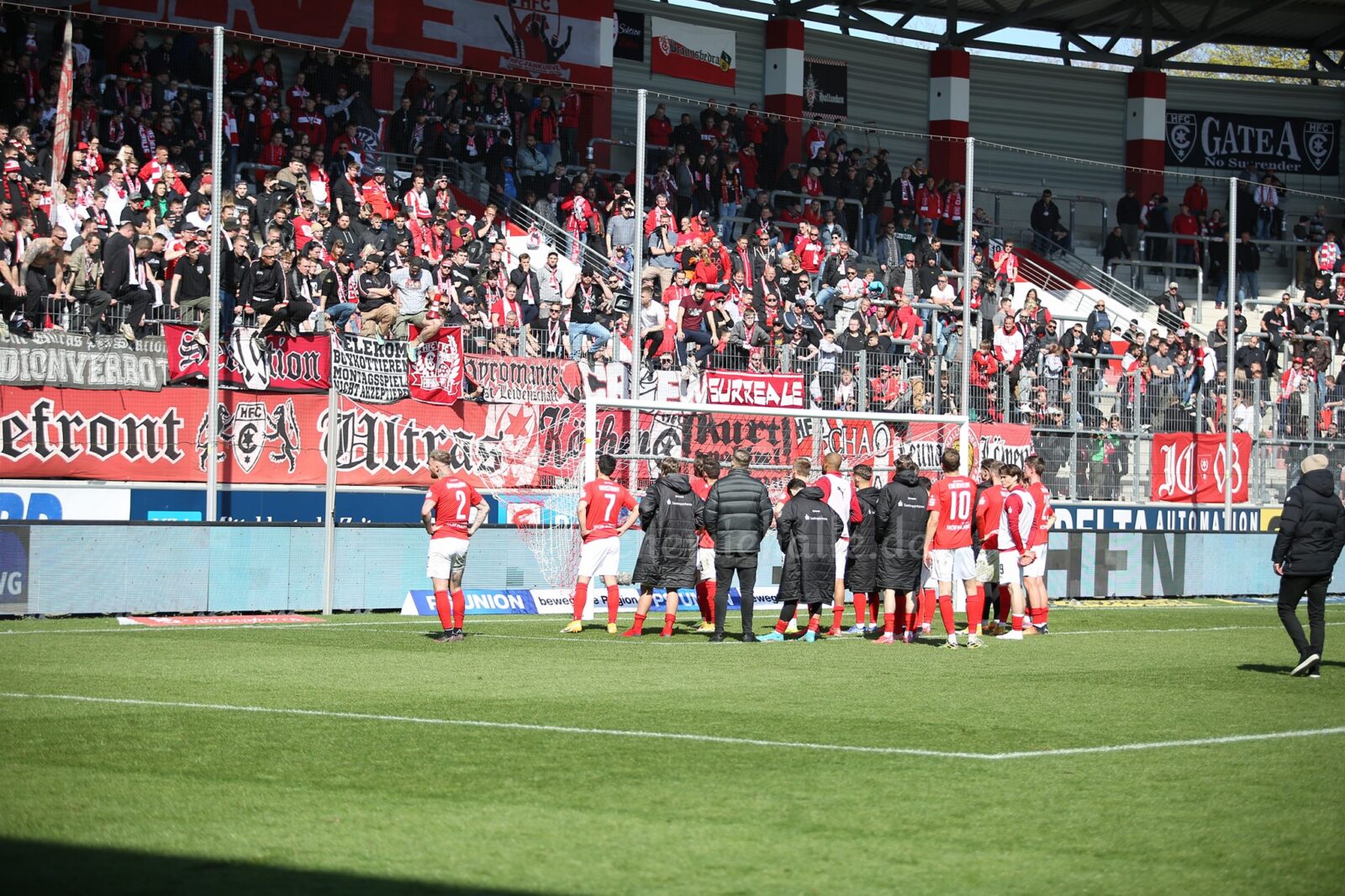 Hallescher FC – TSV Havelse 1-1 (5)