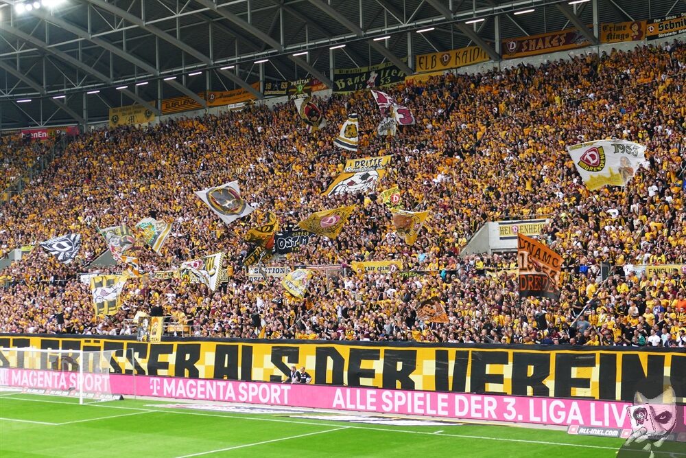 Dynamo Dresden – DSC Arminia Bielefeld 3-1 (7)