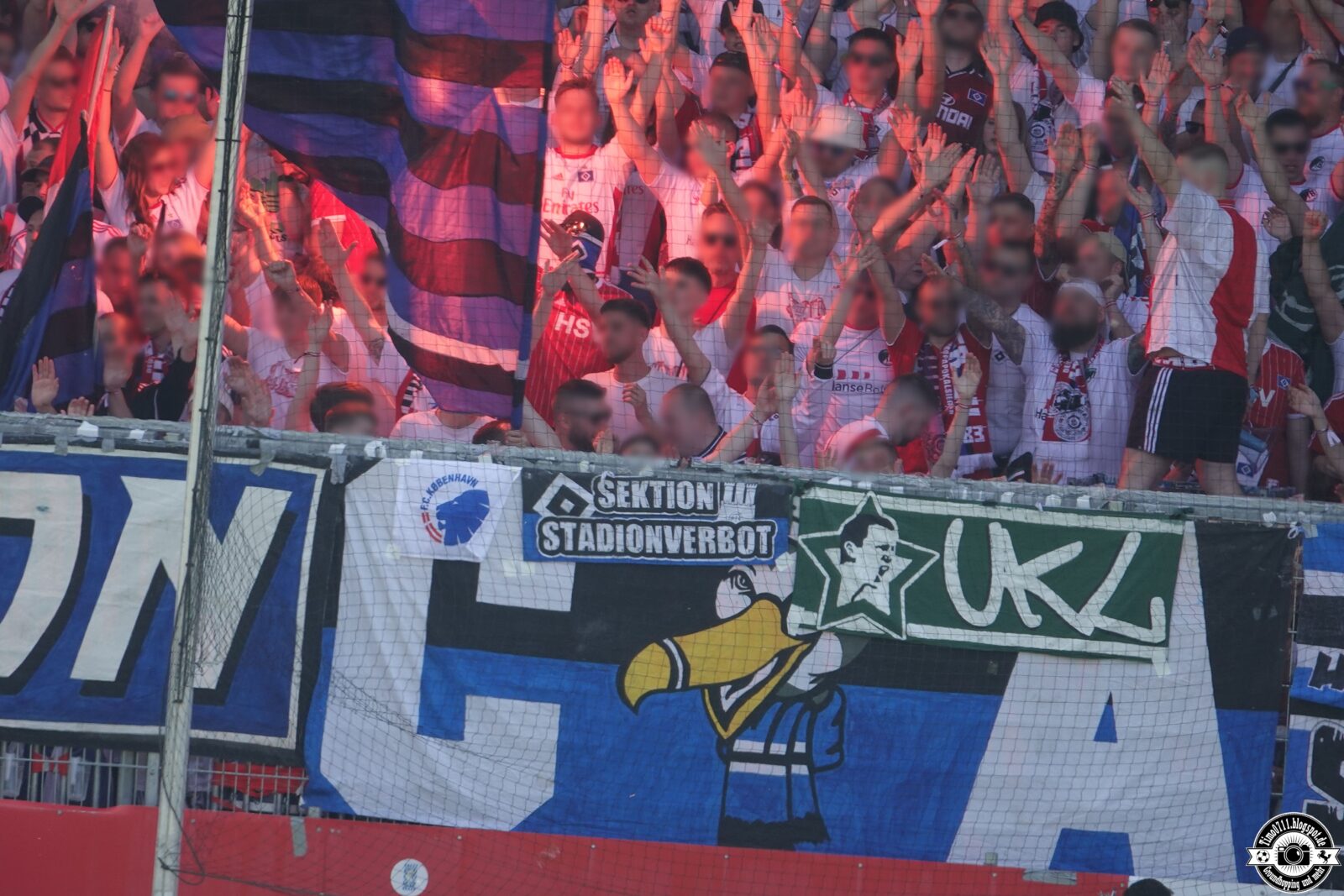SV Sandhausen – Hamburger SV 0-1 (65)