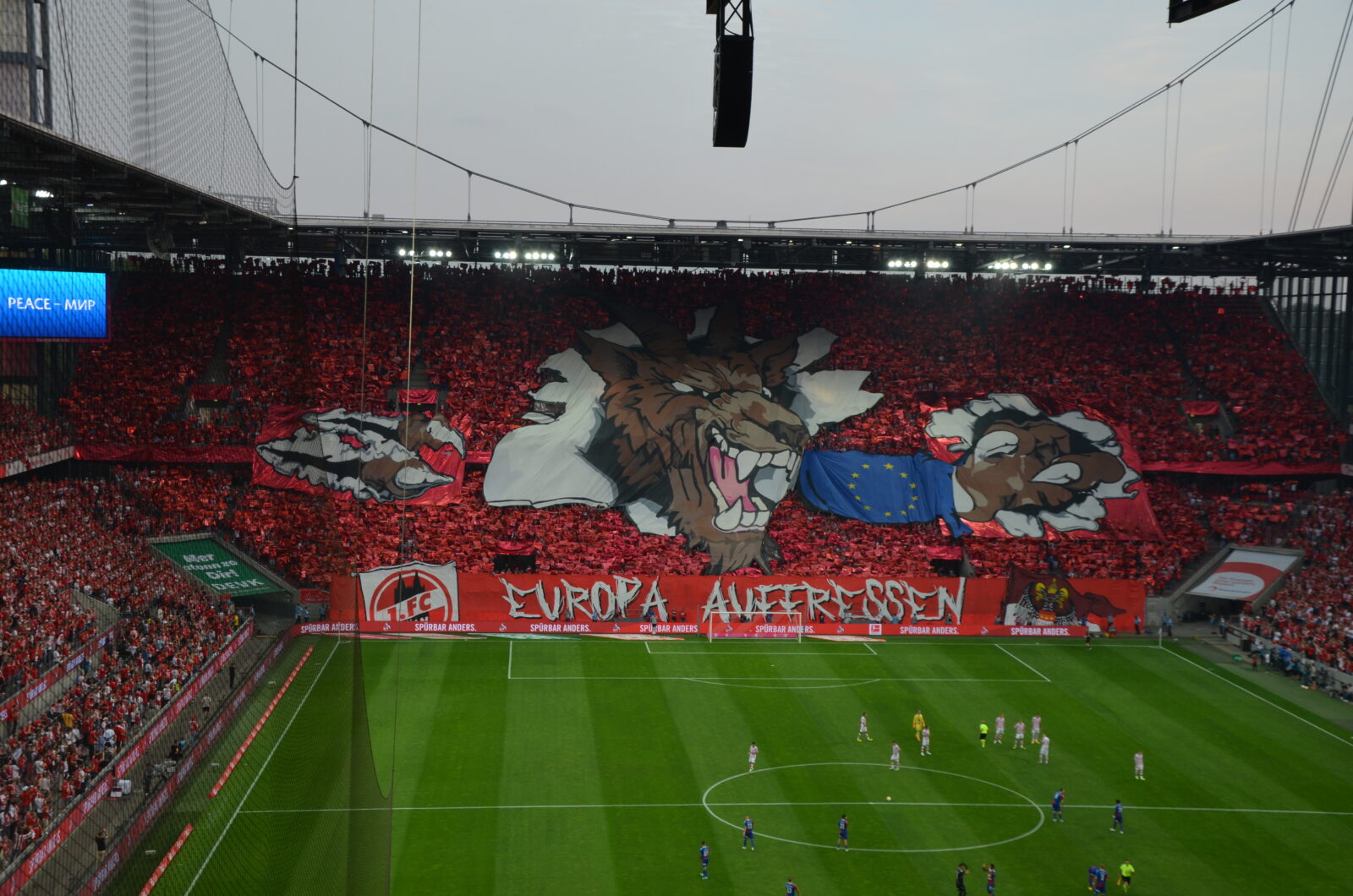 1. FC Köln – Fehérvár FC 1-2 (16)