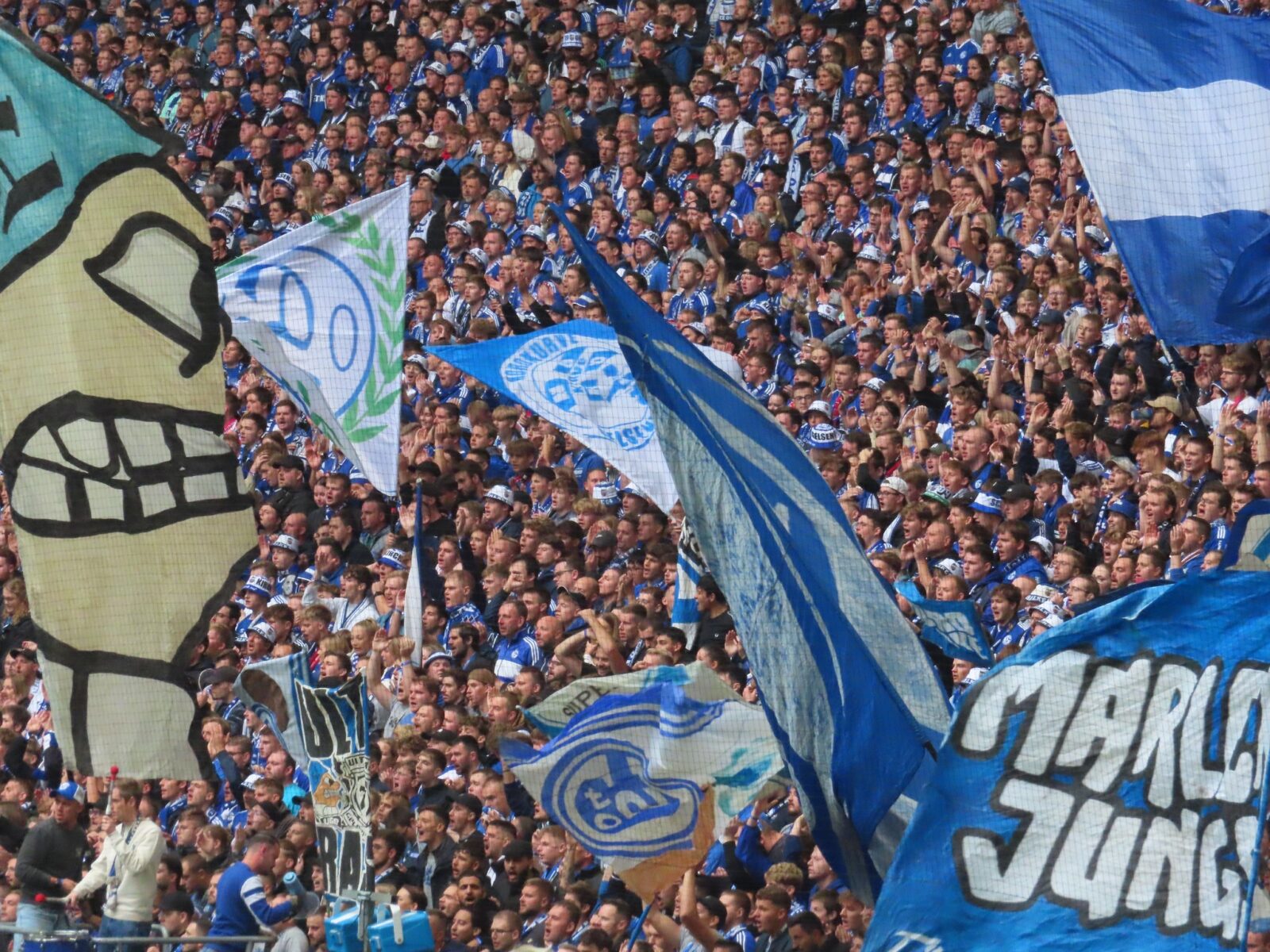 FC Schalke 04 – Hertha BSC 1-2 (4)