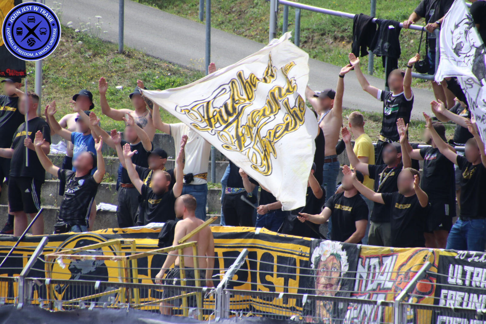 VFC Plauen – Viktoria Berlin 2-3 (7)