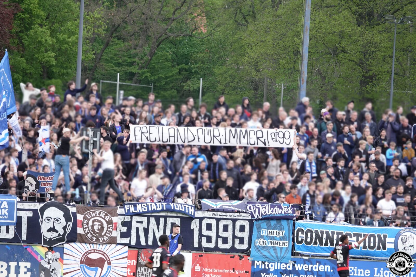 SV Babelsberg 03 – FC Rot-Weiß Erfurt 2-0 (5)
