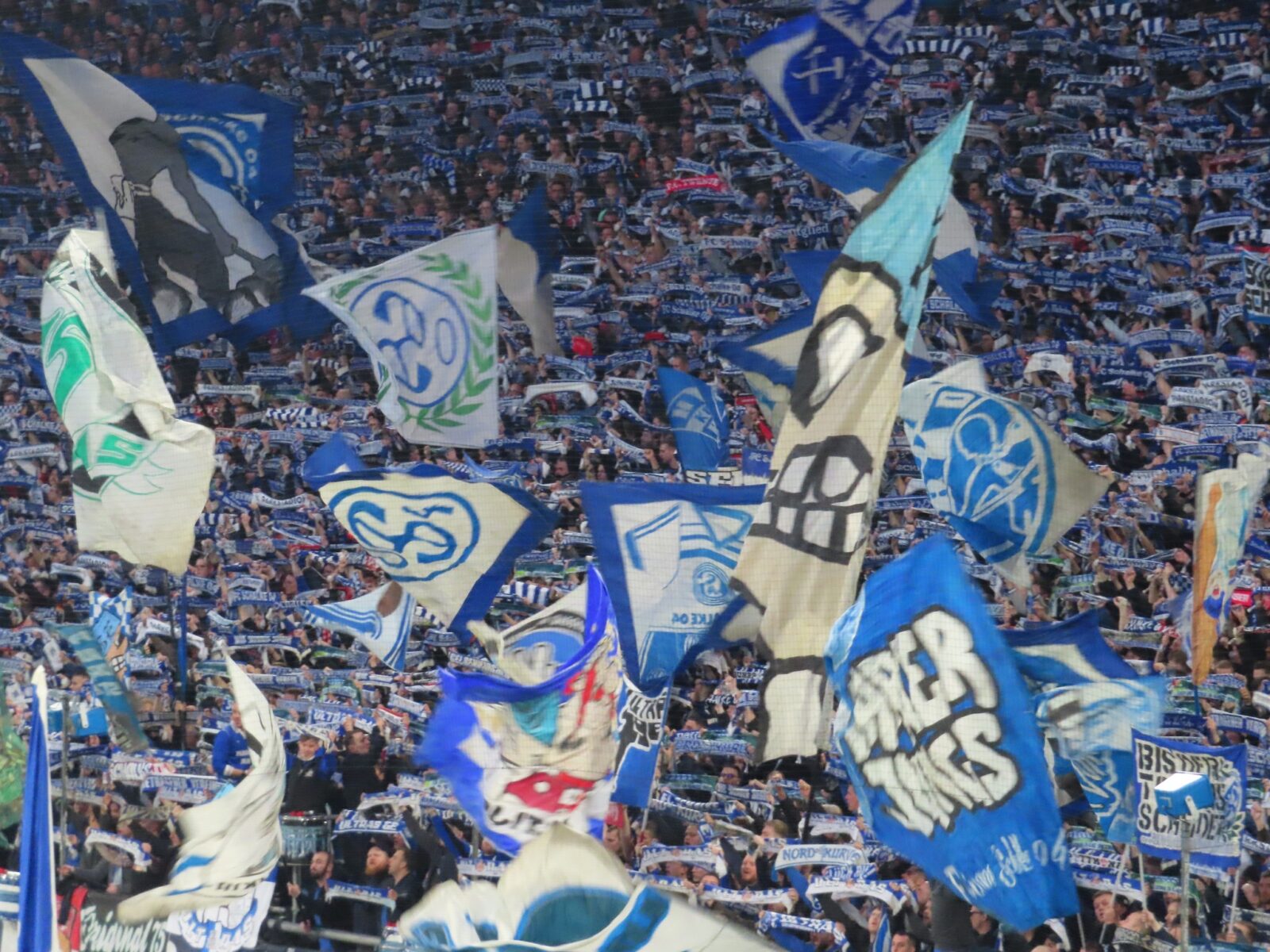 FC Schalke 04 – Hertha BSC (7)