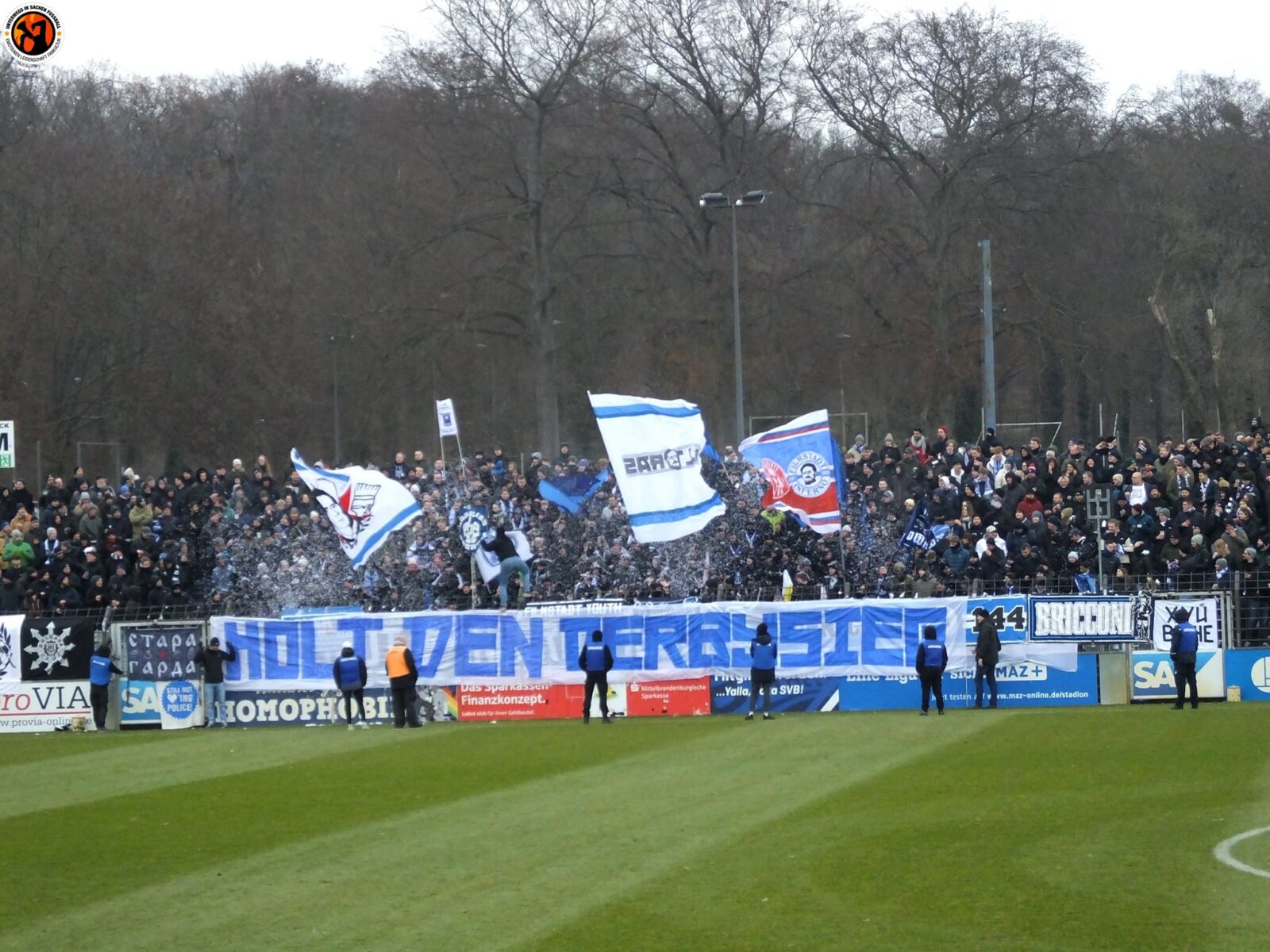 SV Babelsberg 03 – FC Energie Cottbus 0-1 (5)
