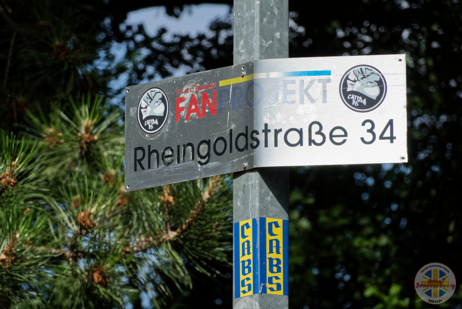 Eintracht Braunschweig – Hamburger SV 0-2 (7)