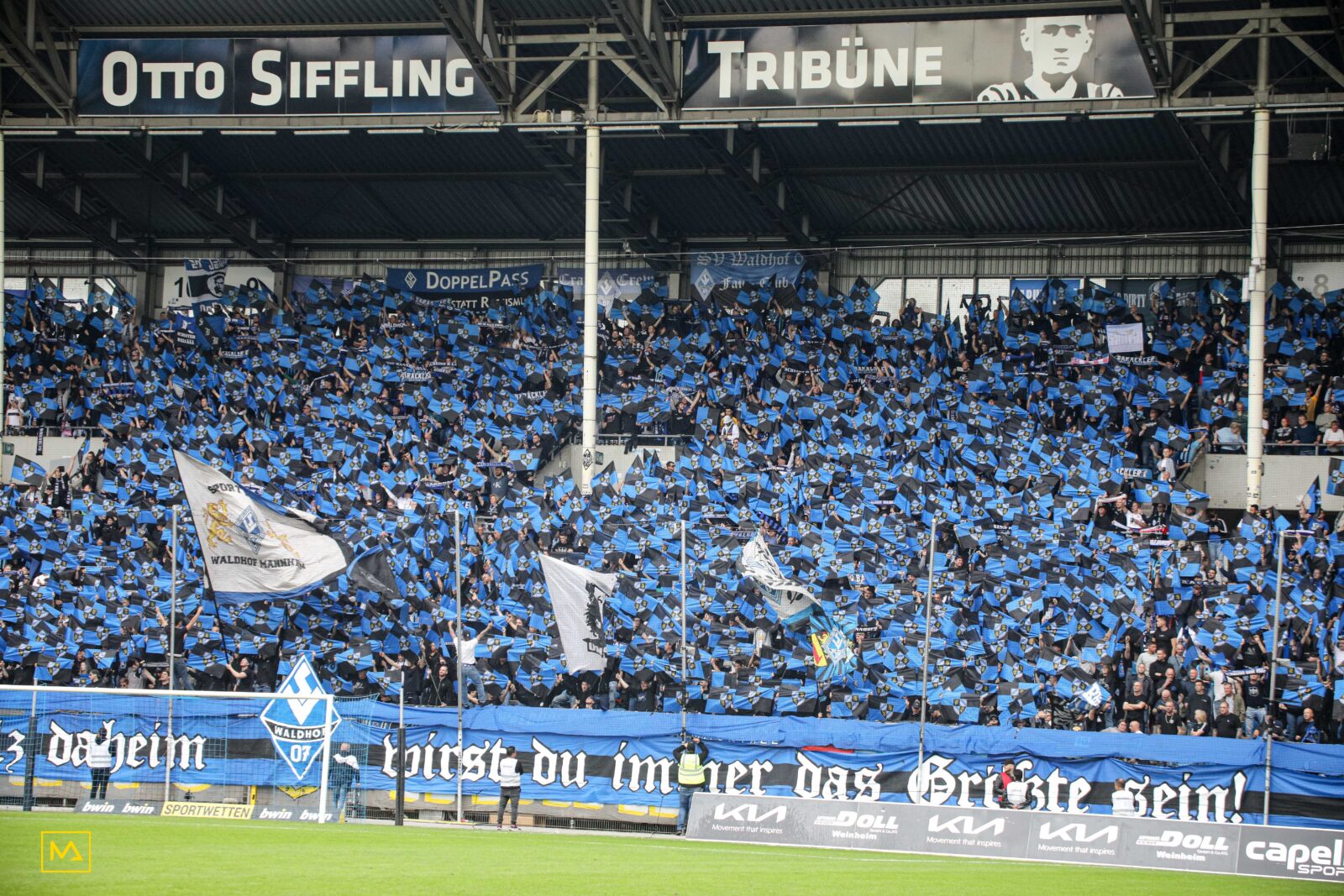 SV Waldhof Mannheim – Dynamo Dresden 2-1 (13)