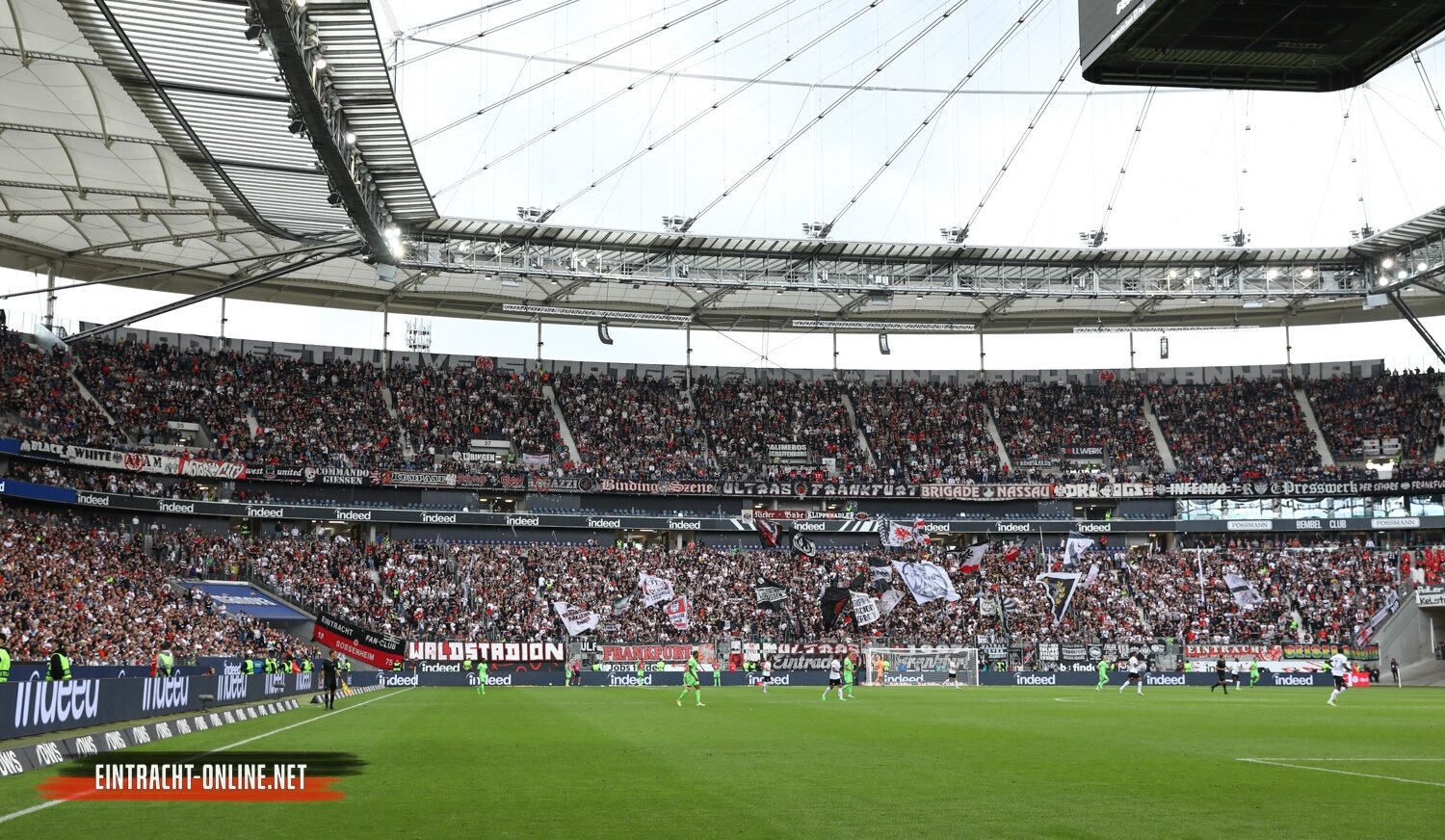 Eintracht Frankfurt – VfL Wolfsburg 0-1 (20)