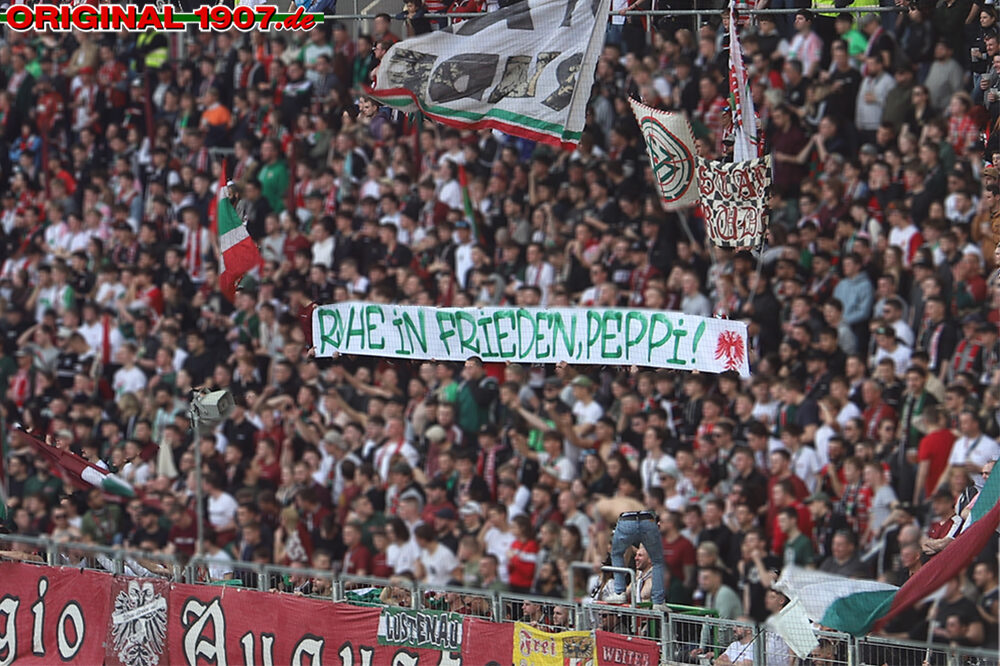 FC Augsburg – FC Schalke 04 1-1 (15)