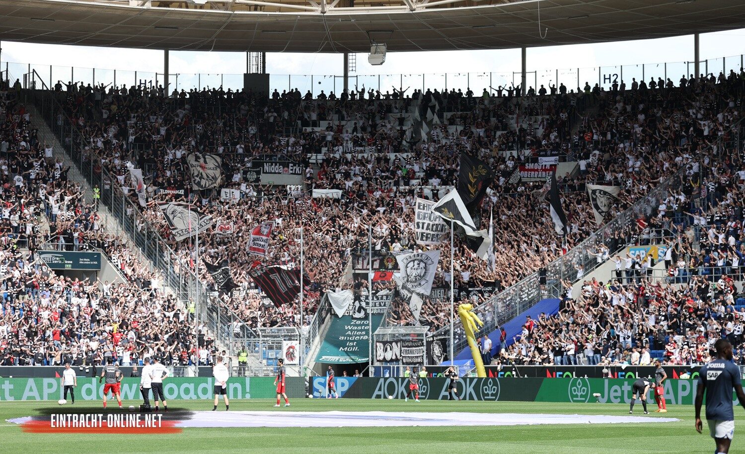 TSG Hoffenheim – Eintracht Frankfurt 3-1 (10)