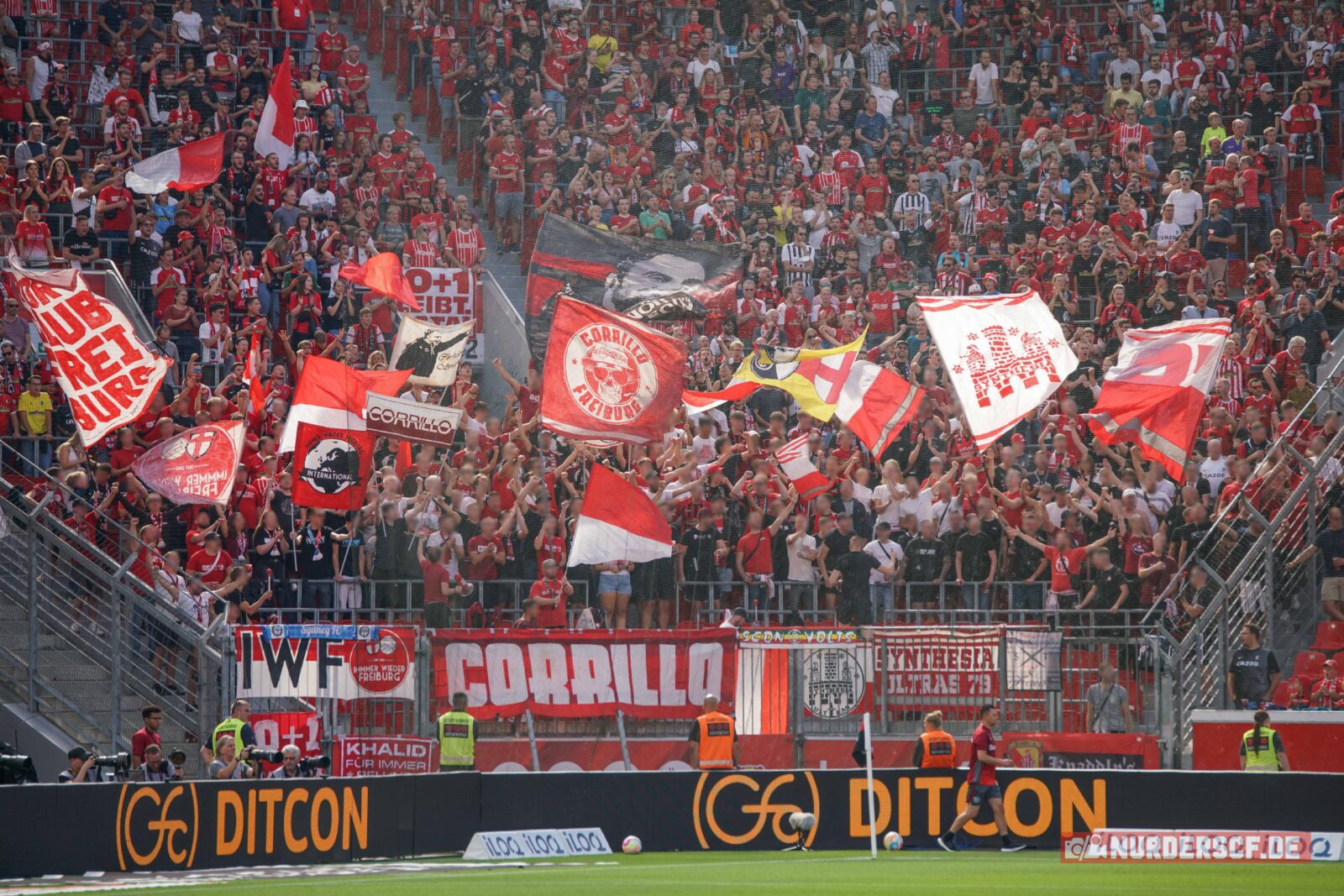 Bayer 04 Leverkusen – SC Freiburg 2-3 (1)