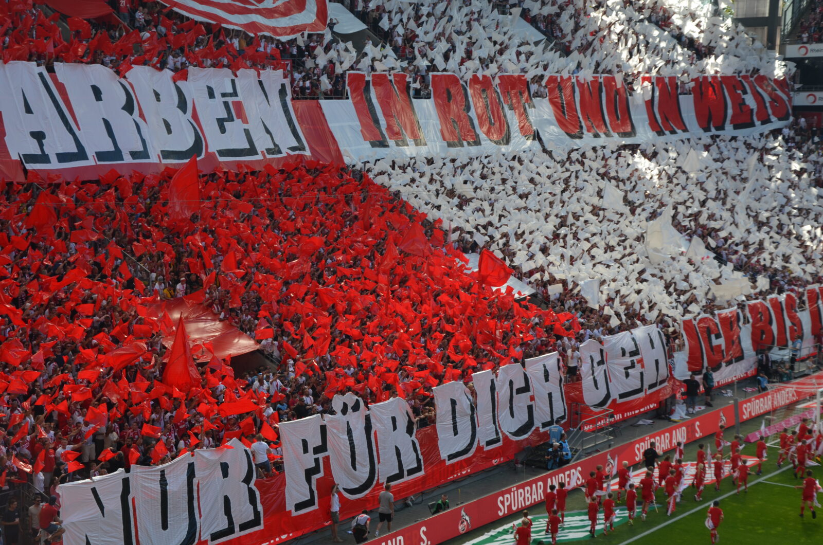 1. FC Köln – FC Schalke 04 3-1 (28)