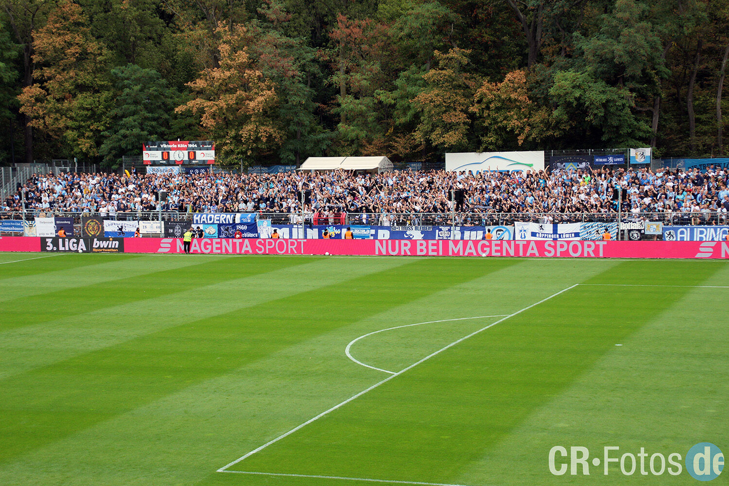 Viktoria Köln – TSV 1860 München 1-1