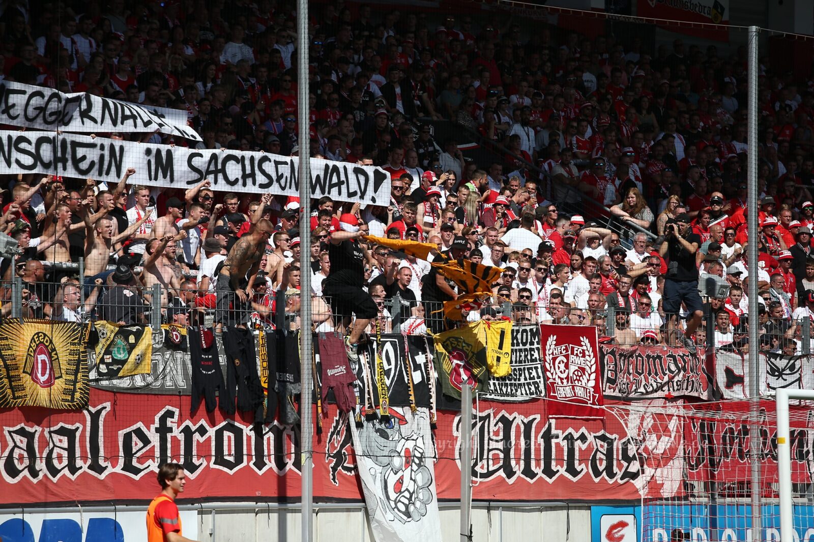 Hallescher FC – Dynamo Dresden 0-2 (21)