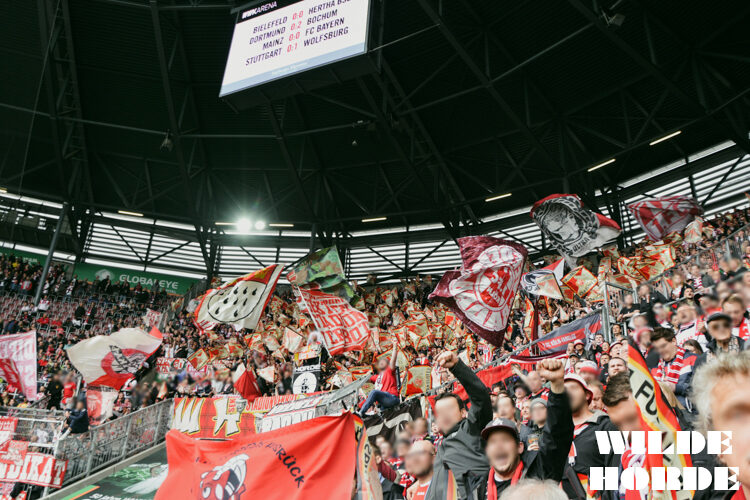 FC Augsburg – 1. FC Köln 1-4 (4)