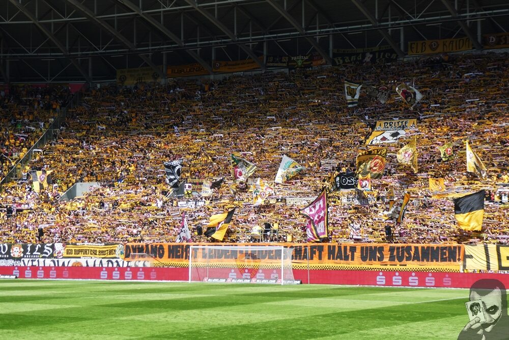Dynamo Dresden – VfB Oldenburg 2-1 (12)