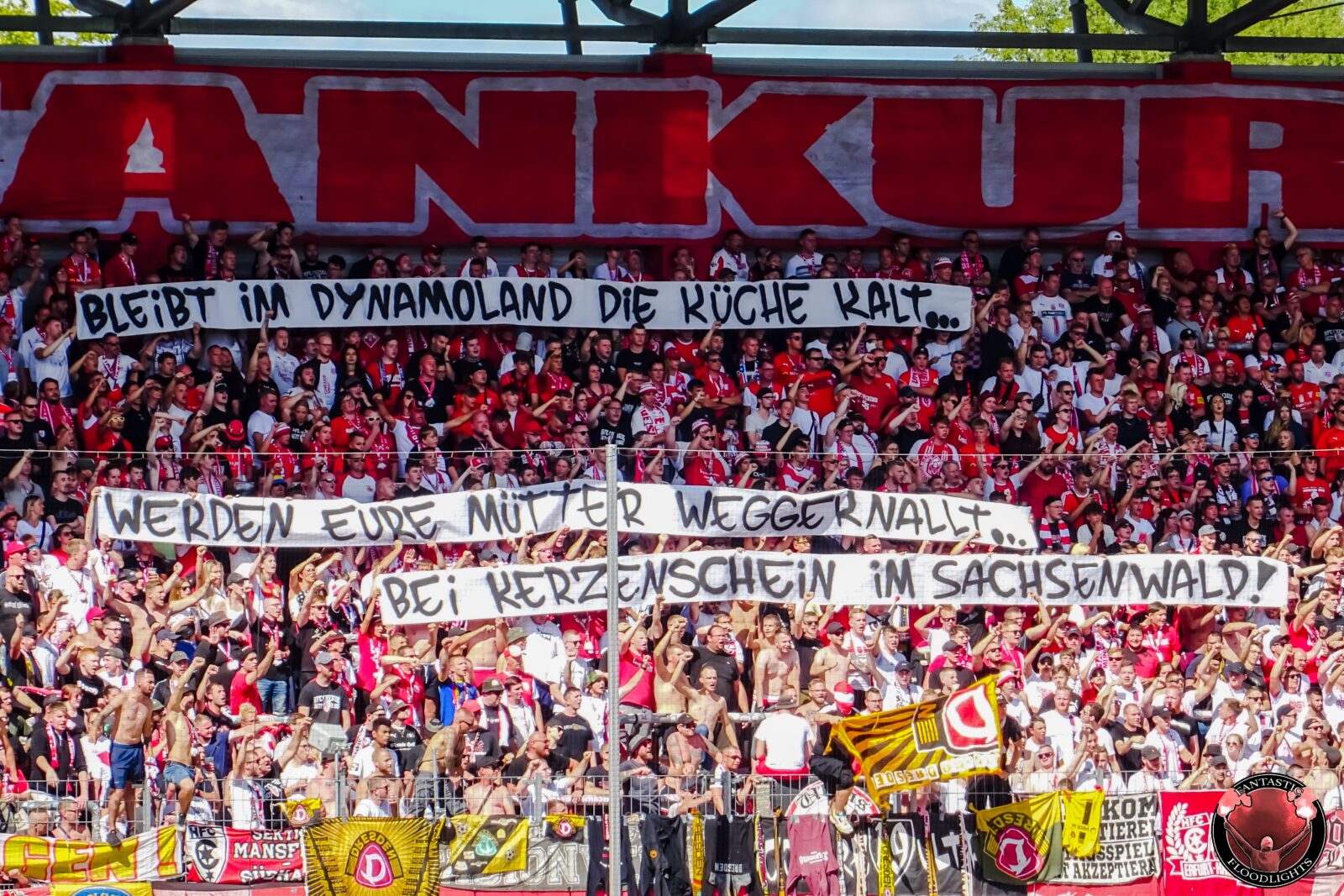 Hallescher FC – Dynamo Dresden 0-2 (4)