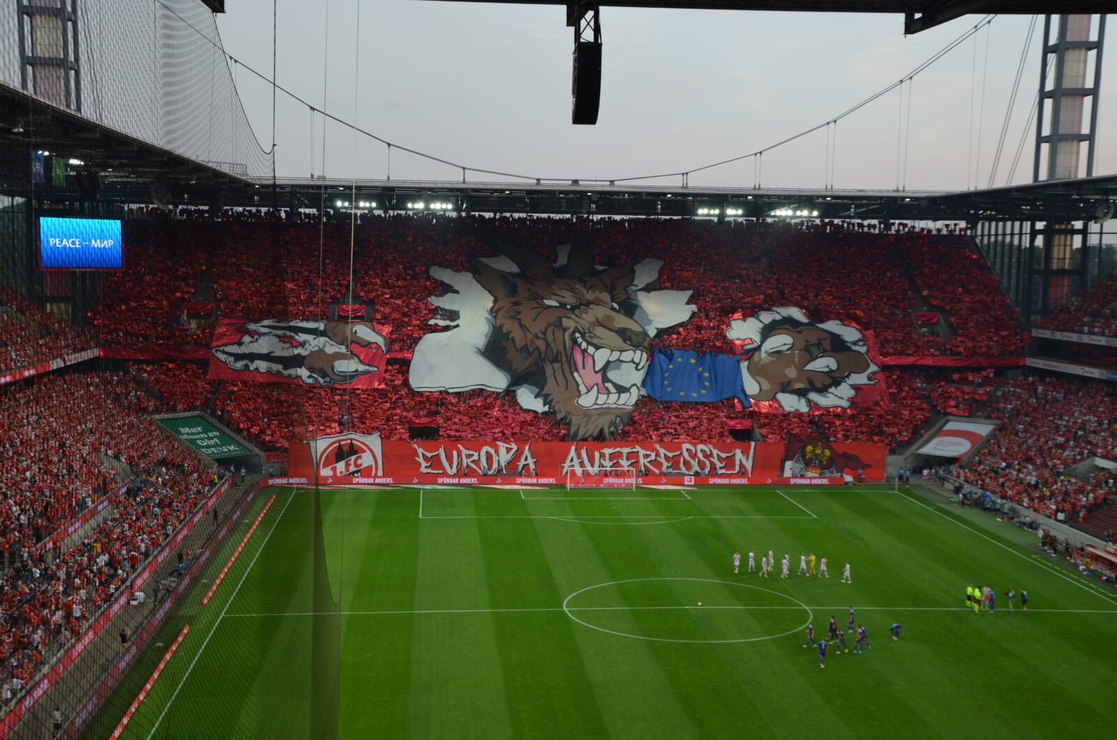 1. FC Köln – Fehérvár FC 1-2 (12)